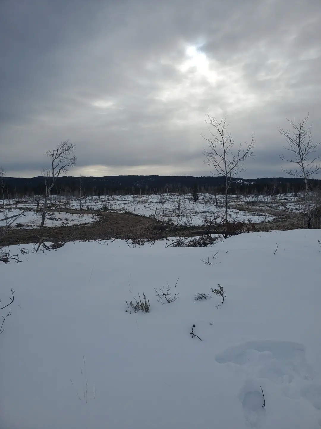land-management-3